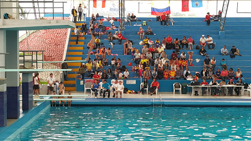 Federación Deportiva Peruana de Natación