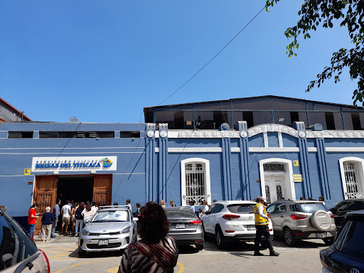 La Tarumba Escuela De Teatro Y Circo