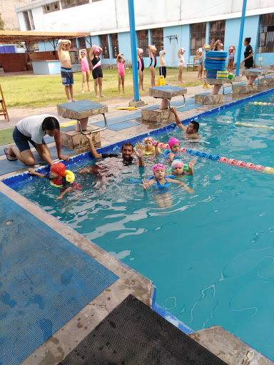 Piscina Del Club Swimming Gold